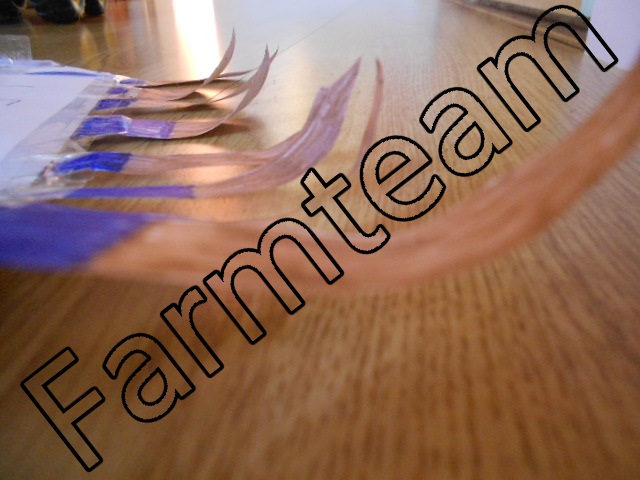DSCN0537
